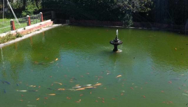Campestre Sierra Viva Hotel Zacatlán Kültér fotó